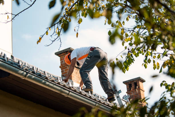 Best Roof Ventilation Installation  in Potomac Park, CA