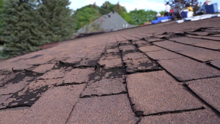 Steel Roofing in Potomac Park, CA