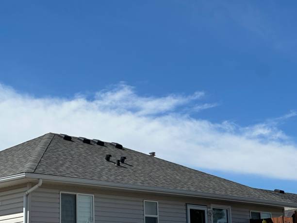 Best Rubber Roofing (EPDM, TPO)  in Potomac Park, CA